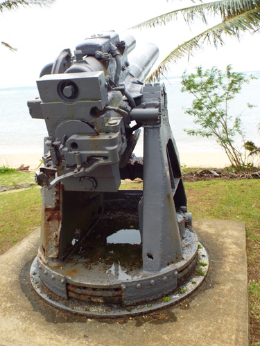 Guam - Aga Tongan (Summer, 2015) - 08:06:2015 - DSCF0508