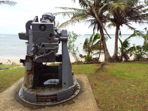 Guam - Aga Tongan (Summer, 2015) - 08:06:2015 - DSCF0511