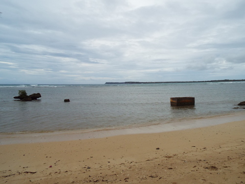 Guam - Aga Tongan (Summer, 2015) - 08:06:2015 - DSCF0514