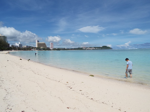 Guam - Aga Tongan (Summer, 2015) - 08:08:2015 - DSCF0620