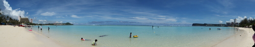 Guam - Aga Tongan (Summer, 2015) - 08:08:2015 - DSCF0641