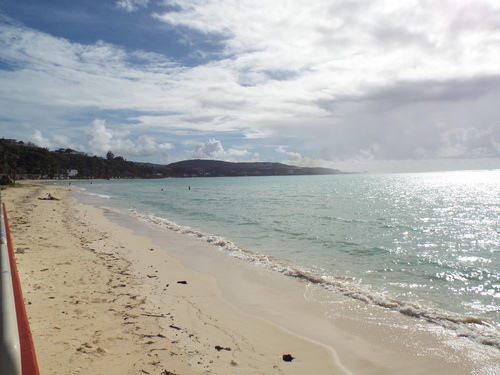 Guam - Aga Tongan (Summer, 2015) - 08:08:2015 - DSCF0706