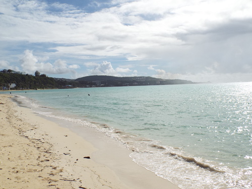 Guam - Aga Tongan (Summer, 2015) - 08:08:2015 - DSCF0707
