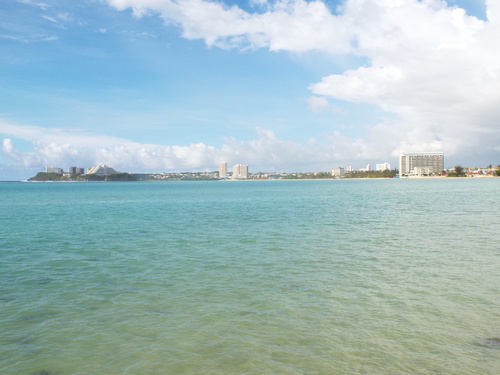 Guam - Aga Tongan (Summer, 2015) - 08:08:2015 - DSCF0717