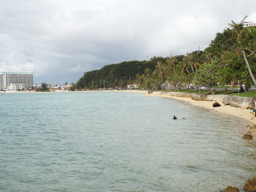 Guam - Aga Tongan (Summer, 2015) - 08:08:2015 - DSCF0718