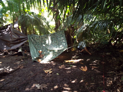 Guam - Aga Tongan (Summer, 2015) - 08:09:2015 - DSCF0727