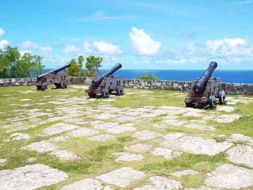 Guam - Aga Tongan (Summer, 2015) - 08:09:2015 - DSCF0765