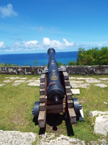 Guam - Aga Tongan (Summer, 2015) - 08:09:2015 - DSCF0769