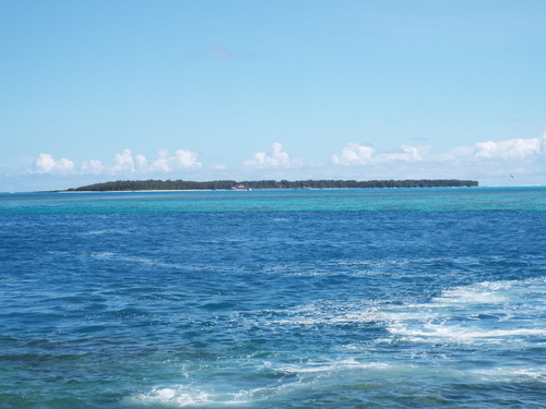 Guam - Aga Tongan (Summer, 2015) - 08:09:2015 - DSCF0802
