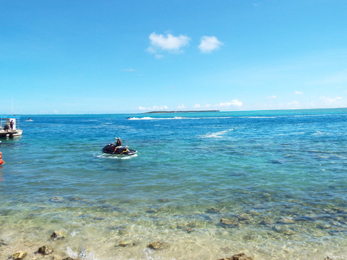 Guam - Aga Tongan (Summer, 2015) - 08:09:2015 - DSCF0805