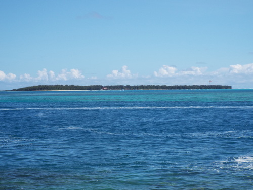 Guam - Aga Tongan (Summer, 2015) - 08:09:2015 - DSCF0806