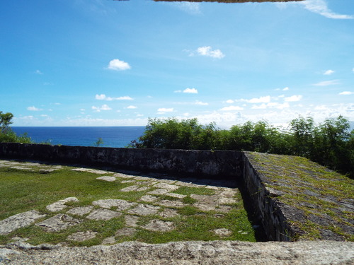 Guam - Aga Tongan (Summer, 2015) - 08:09:2015 - DSCF0882