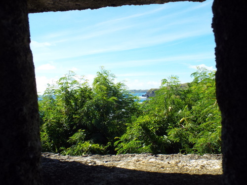 Guam - Aga Tongan (Summer, 2015) - 08:09:2015 - DSCF0884