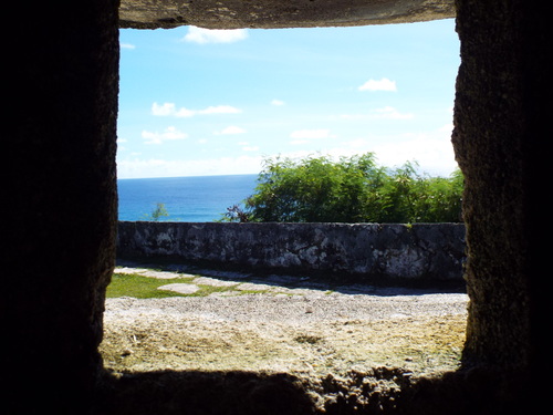 Guam - Aga Tongan (Summer, 2015) - 08:09:2015 - DSCF0886