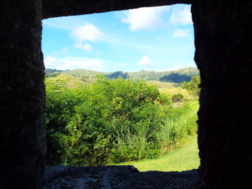 Guam - Aga Tongan (Summer, 2015) - 08:09:2015 - DSCF0887