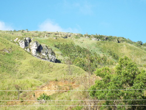 Guam - Aga Tongan (Summer, 2015) - 08:09:2015 - DSCF0993