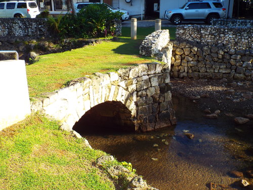 Guam - Aga Tongan (Summer, 2015) - 08:09:2015 - DSCF0995