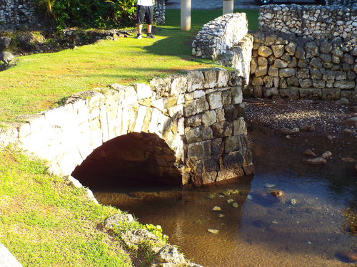 Guam - Aga Tongan (Summer, 2015) - 08:09:2015 - DSCF1002