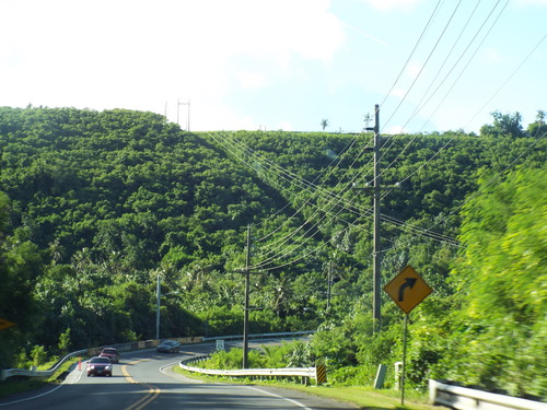 Guam - Aga Tongan (Summer, 2015) - 08:10:2015 - DSCF1071