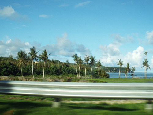 Guam - Aga Tongan (Summer, 2015) - 08:10:2015 - DSCF1072