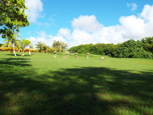 Guam - Aga Tongan (Summer, 2015) - 08:11:2015 - DSCF1085