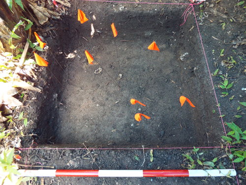 Guam - Aga Tongan (Summer, 2015) - 08:11:2015 - DSCF1100