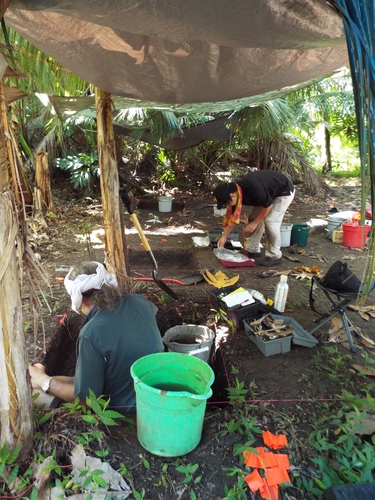 Guam - Aga Tongan (Summer, 2015) - 08:11:2015 - DSCF1114