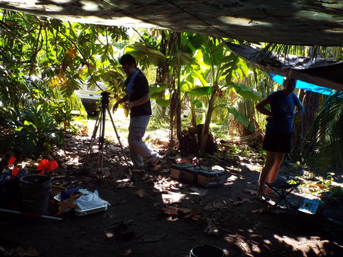 Guam - Aga Tongan (Summer, 2015) - 08:12:2015  - DSCF1127