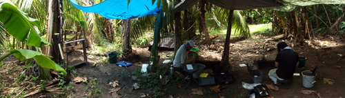 Guam - Aga Tongan (Summer, 2015) - 08:12:2015  - DSCF1139