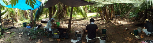 Guam - Aga Tongan (Summer, 2015) - 08:12:2015  - DSCF1140