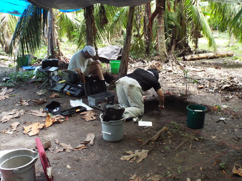 Guam - Aga Tongan (Summer, 2015) - 08:12:2015  - DSCF1142