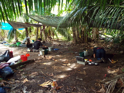 Guam - Aga Tongan (Summer, 2015) - 08:13:2015  - DSCF1203