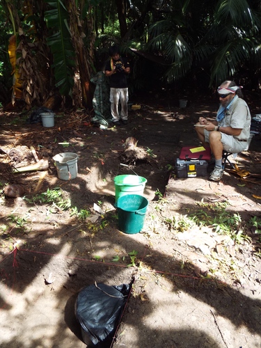 Guam - Aga Tongan (Summer, 2015) - 08:17:2015  - DSCF1285