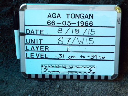 Guam - Aga Tongan (Summer, 2015) - 08:18:2015 - DSCF1374