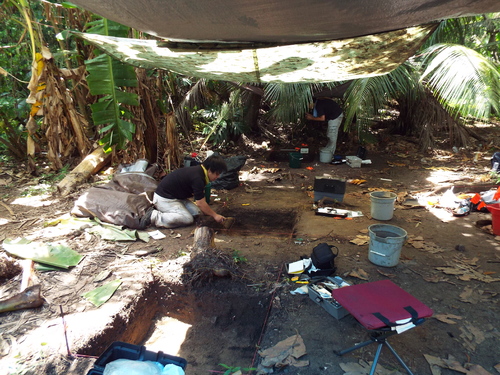 Guam - Aga Tongan (Summer, 2015) - 08:19:2015 - DSCF1465