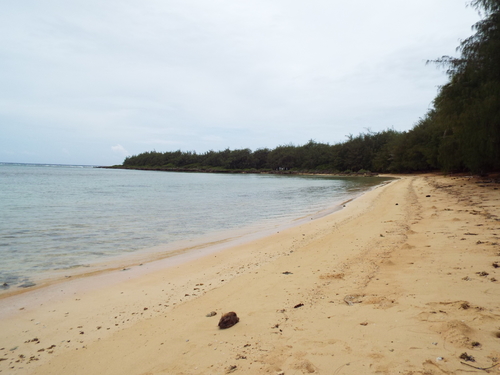 Guam - Aga Tongan (Summer, 2015) - 08:21:2015  - DSCF1610