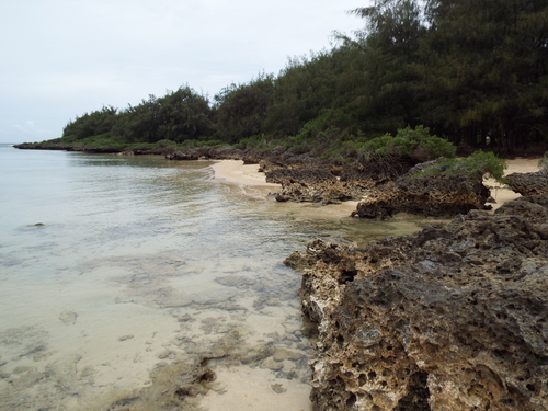 Guam - Aga Tongan (Summer, 2015) - 08:21:2015  - DSCF1618