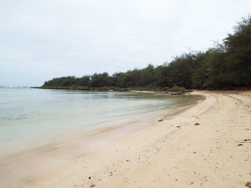 Guam - Aga Tongan (Summer, 2015) - 08:21:2015  - DSCF1624