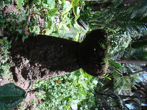 Guam - Guam (2007) - 3729
