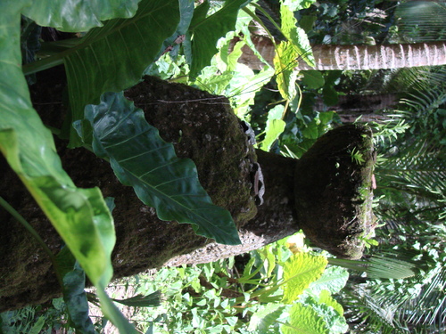 Guam - Guam (2007) - 3730