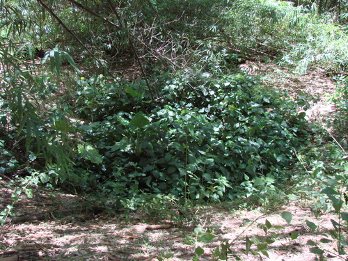 Guam - Guam (2007) - 3733