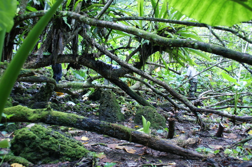 Guam - Haputo (2009) - Haputo (2009a) - DSC00160