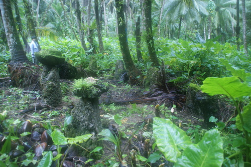 Guam - Haputo (2009) - Haputo (2009a) - DSC00191