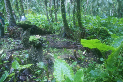 Guam - Haputo (2009) - Haputo (2009a) - DSC00192