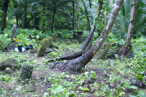 Guam - Haputo (2009) - Haputo (2009a) - DSC00210