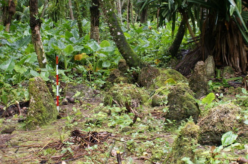 Guam - Haputo (2009) - Haputo (2009a) - DSC00309