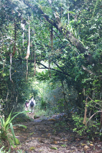 Guam - Haputo (2009) - Haputo (2009a) - DSC00329