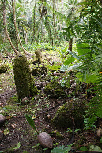 Guam - Haputo (2009) - Haputo (2009a) - DSC00344