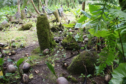 Guam - Haputo (2009) - Haputo (2009a) - DSC00345