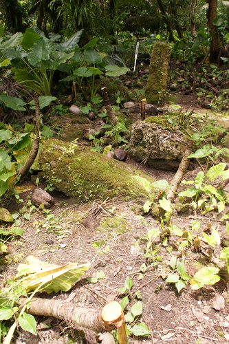 Guam - Haputo (2009) - Haputo (2009a) - DSC00347